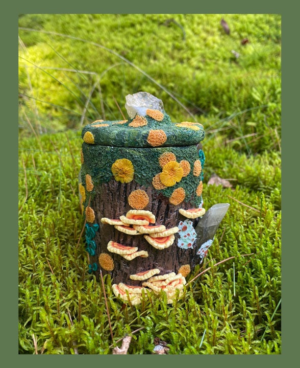Mossy Log Medium Stash Jars