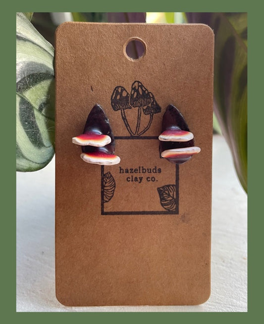 Reishi Studs