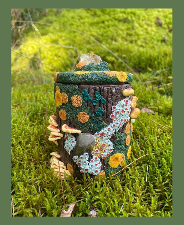 Mossy Log Medium Stash Jars