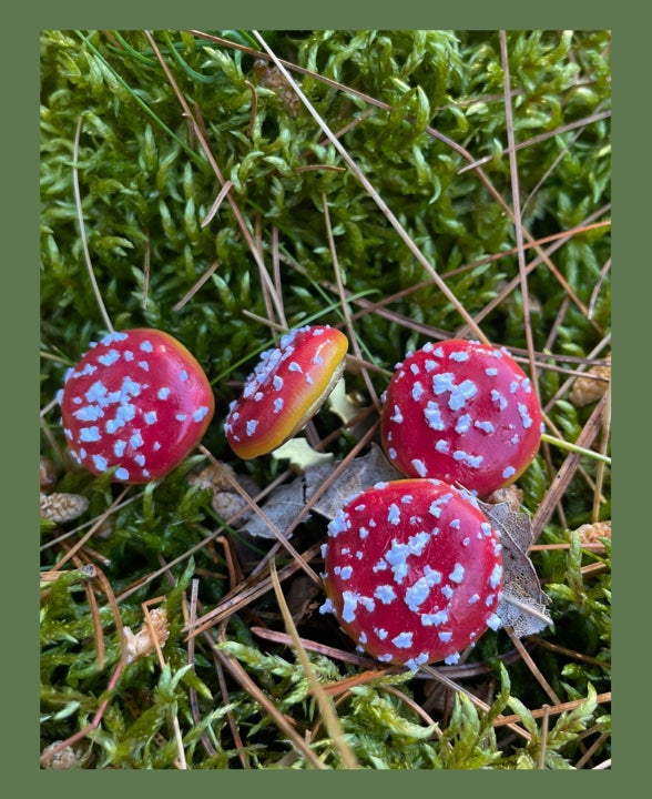 Amanita Muscaria Button Covers