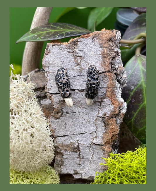 Morel Mushroom Studs