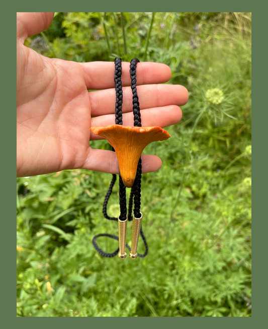 Chanterelle Bolo Tie