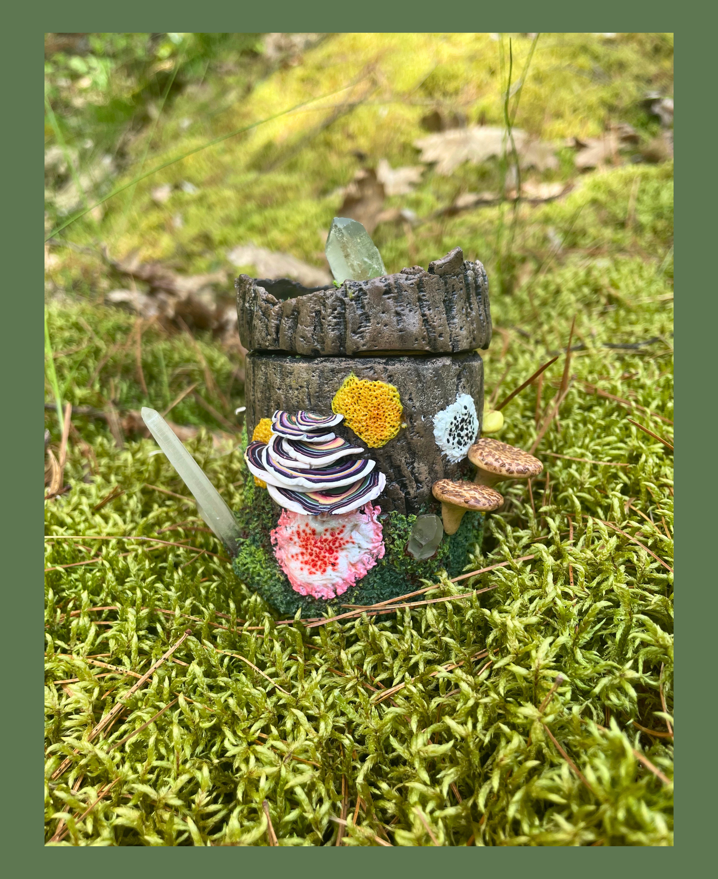 Mossy Log Small Stash Jars
