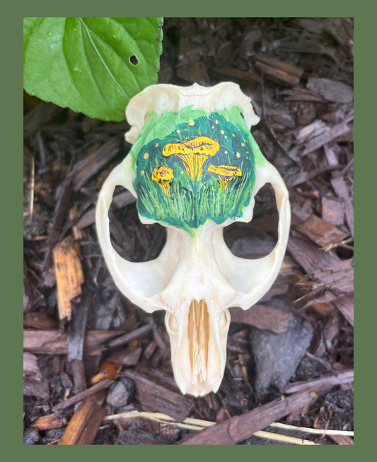 Chanterelle Painted Skull