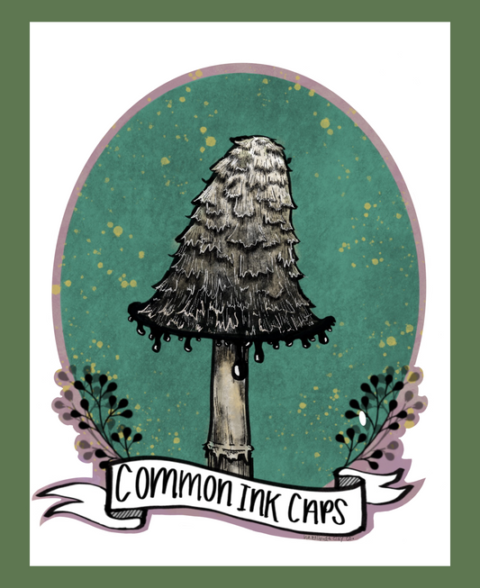 Common Inky Cap Sticker