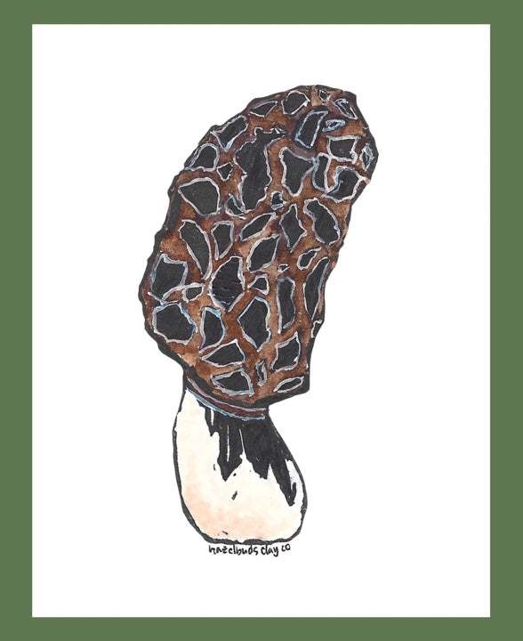 Morel Mushroom Sticker