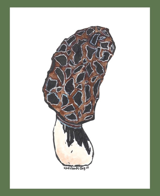 Morel Mushroom Sticker